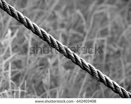 close up rope on grass background, black and white