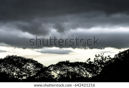 Landscape of sky and trees in storm clouds