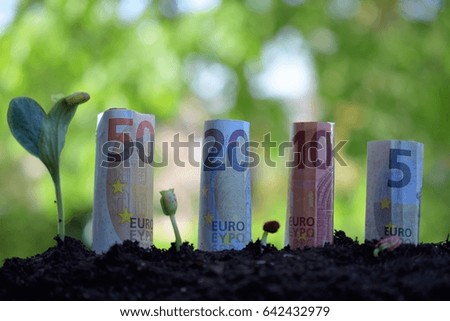 Growing concept with Euros banknote
