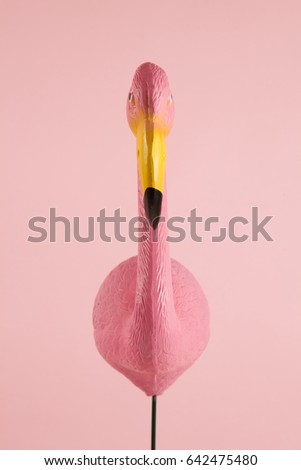 a pink plastic flamingo on a pink background.
gradient and tones on tones