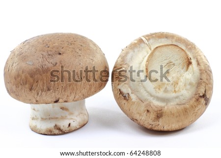 Still life macro picture of two organic Cremini (brown, or dark) mushrooms  caps and stalks over white background.