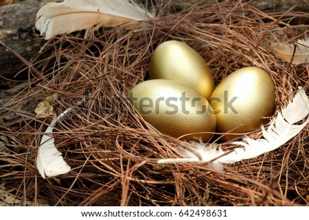Gold, Egg, Basket, Easter, Food