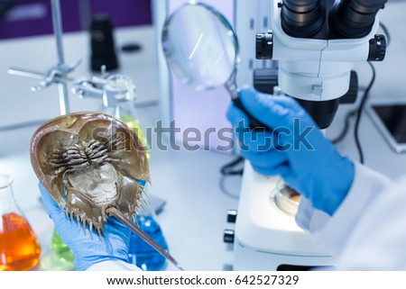 Scientist researching chemistry, technology and biology in laboratory.
 Royalty-Free Stock Photo #642527329