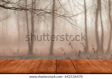 View from dark wooden gangway, table or bridge to the forest. Collage.