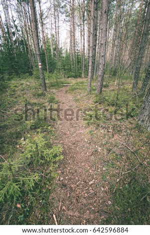 scenic and beautiful tourism gravel road in the forest with piles of greenish old wooden blocks - vintage film effect