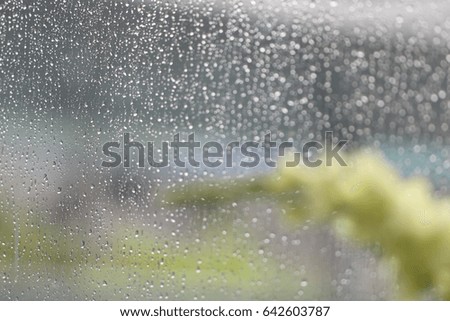Rain drop on glass window and green soft background