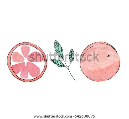 Set of hand-drawn orange red fruit half and full with leaves