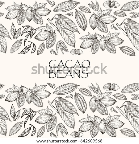 Vector illustration. Element of seamless pattern. Hand drawn cacao beans and cacao tree leafs