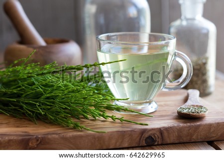 A cup of horsetail tea with fresh and dried horsetail plant Royalty-Free Stock Photo #642629965
