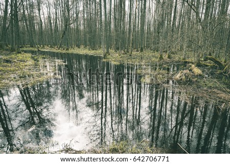abstract reflections of trees and grass in the swamp water in spring day - vintage film effect