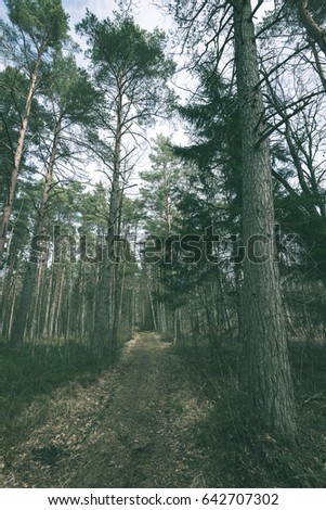 scenic and beautiful tourism gravel road in the forest surrounded by trees - vintage film effect