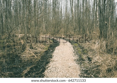 scenic and beautiful tourism gravel road in the forest surrounded by trees - vintage film effect