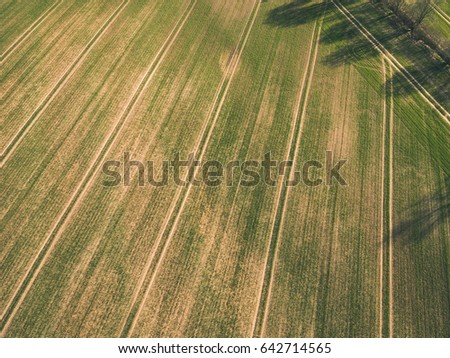 drone image. aerial view of rural area with freshly cultivated fields in sunny spring day. latvia - vintage look film effect