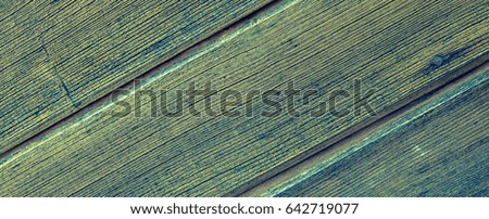 Boards made of natural wood. Texture and Background