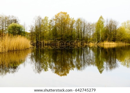 Trees reflected in lake, Brest Region, Belorussia. High key photo