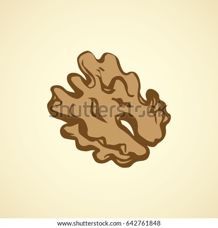 Tasty walnut pod isolated on white backdrop. Freehand outline ink hand drawn picture sign sketchy in art vintage scribble style pen on paper. Closeup view