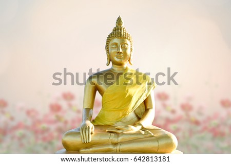 Buddha statue. background blurred flowers and  sky with the light of the sun.