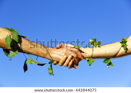 Nature lovers. Two male nature lovers shaking hands with climbing plants curled up in their arms, with blue sky in the background.