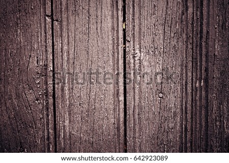 The texture of wood