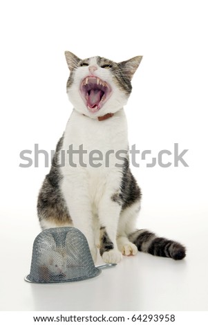 Cat with open chops and mouse in traps, on white background.
