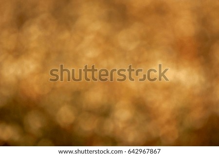 Blur Grass flower on light