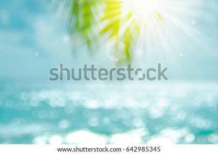 Blur beautiful nature green palm leaf on tropical beach with bokeh sun light wave abstract background. Copy space of summer vacation and business travel concept. Vintage tone filter effect color style Royalty-Free Stock Photo #642985345