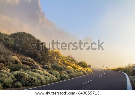 Fog on the mountain road in the morning on canary island Tenerife