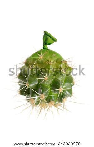 Abstract cactus small balloons on white background