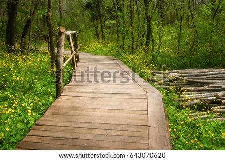 National Park Ropotamo Bulgaria. Wooden bridge leads to the Ropotamo river crossing green spring forest.