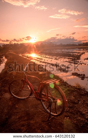 Beautiful landscape of field with red classic bicycle against sunset sky background