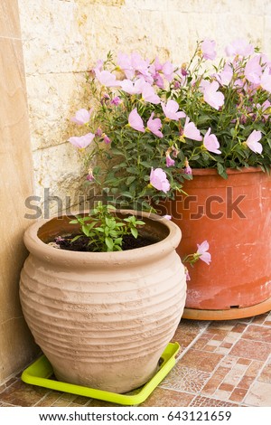 exterior decoration of flowers and pots in greek style