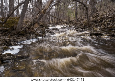Stormy creek in the forest