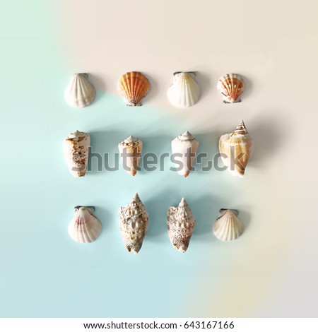 Colorful flat lay composition with seashells neatly arranged in a square format, summer concept