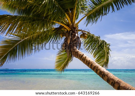 Paradise tropical beach and lagoon in Moorea Island. French Polynesia