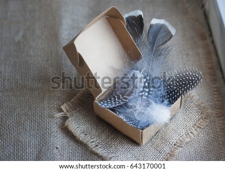 gift box in a rustic style with a bird's feather
