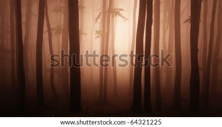 abstract red forest