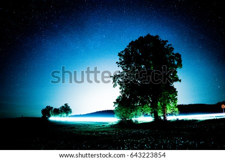 Tree in a dark night under the starry sky. There is a light trail near.