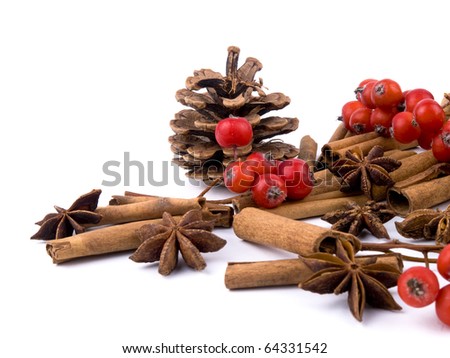 Closeup picture of aromatic cinnamon, rowan, anise and cones on white background