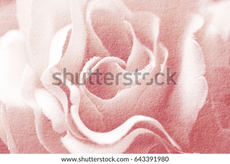 Double exposure of soft singles rose flowers fabric of paper texture for background and postcard,Abstract,texture,Soft and blur style.