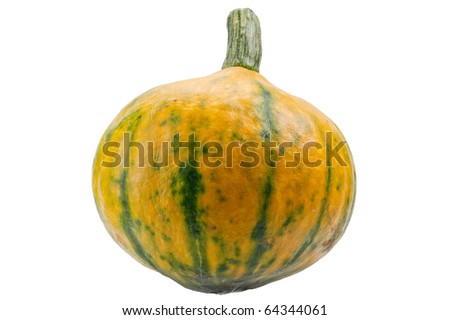 Colourful pumpkin isolated on white background. Pumpkin is ecological and natural, grew in rural garden.