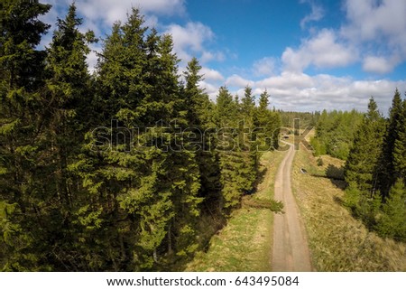 Areal view to forest in Scotland