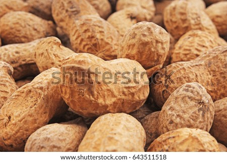 Groundnut. Peanuts without peeled shels background food photography in studio. Close up macro peanuts photo. Beautiful salted roasted peanuts pattern concept.