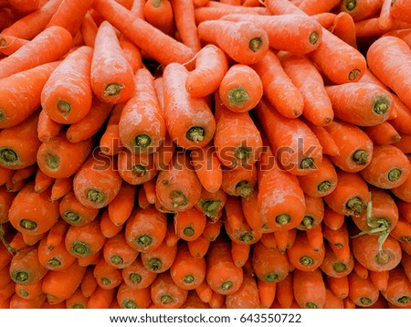 Fresh carrots ready for sales. A selective focus view.