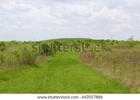 The grass trail in the green grass field landscape.