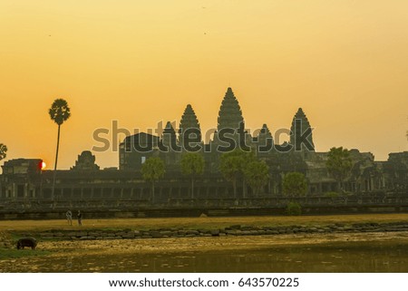 Cambodia landscape 