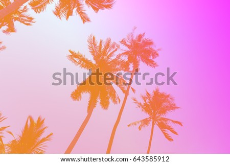 coconut palm tree with color filter