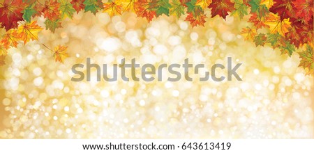 Vector autumnal leaves  background.