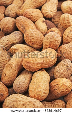 
Groundnut. Peanuts without peeled shels background food photography in studio. Close up macro peanuts photo. Beautiful salted roasted peanuts pattern concept.