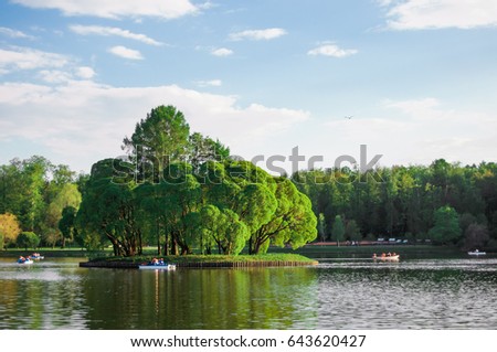 Lush tree on an island in the middle of the lake