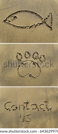 Fish, paw print and contact us drawing on sand
